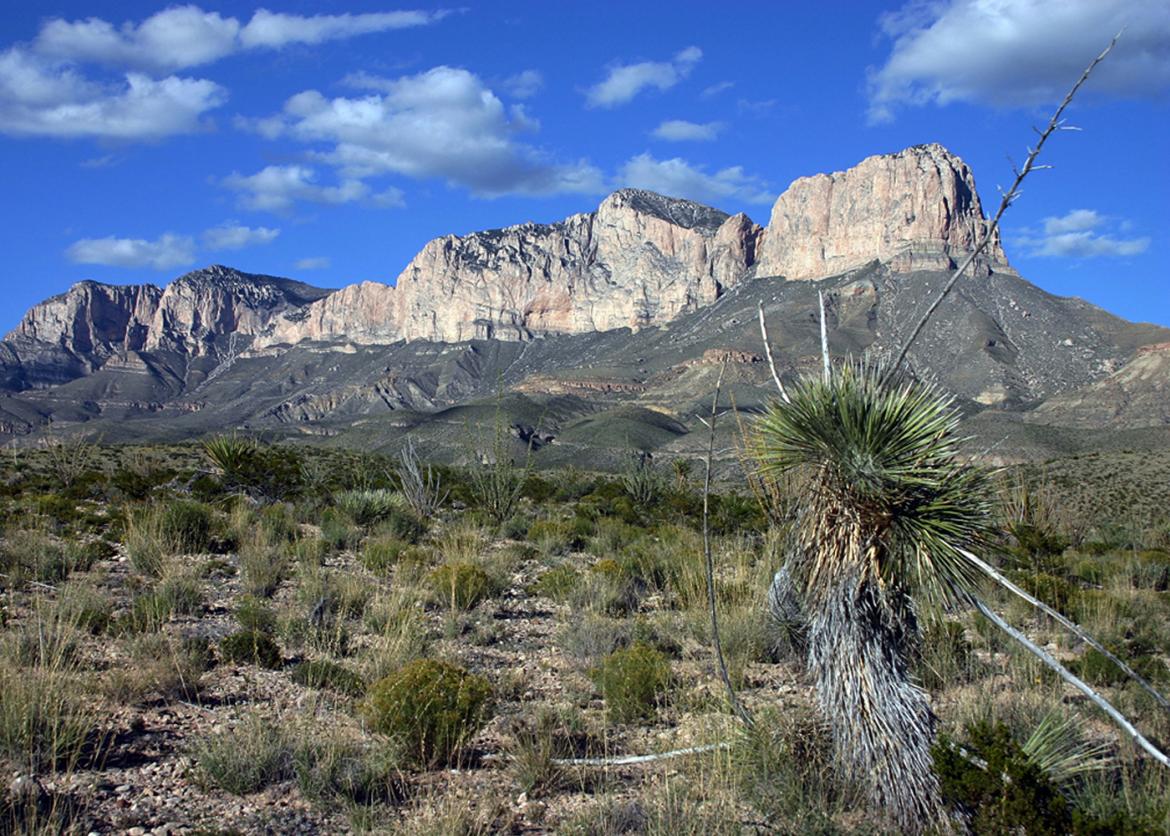 Laws & Policies - Guadalupe Mountains National Park (U.S. National Park  Service)