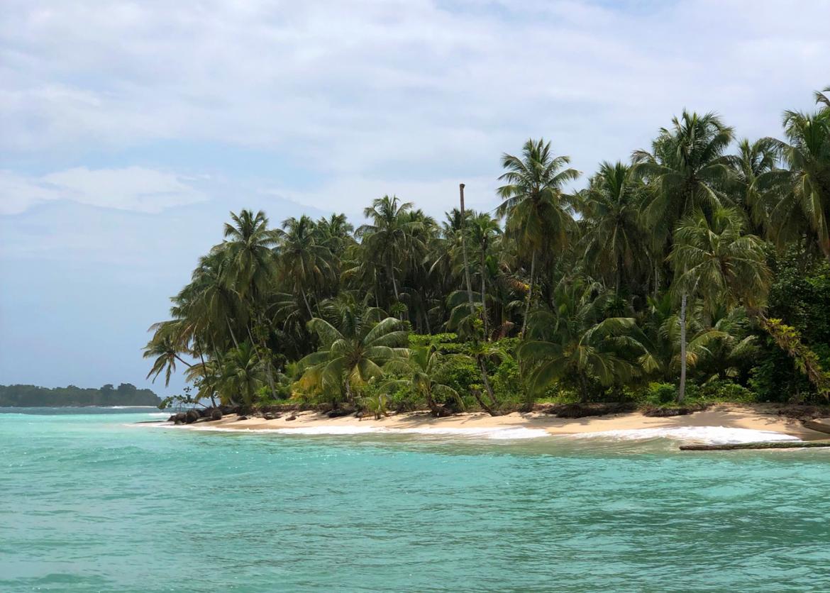 One-Week Active Marine Adventure in Bocas del Toro Archipelago, Panama