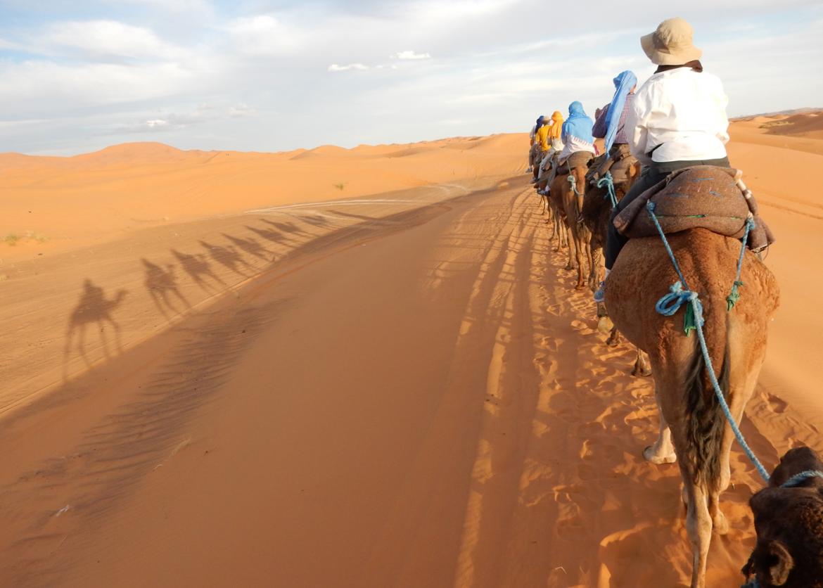 Magical Morocco: From Casbahs to Camels
