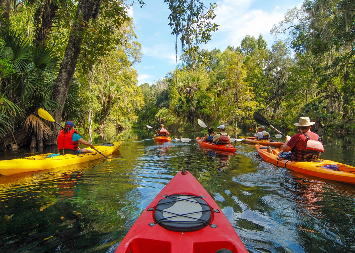 Kayaking Florida's Nature Coast