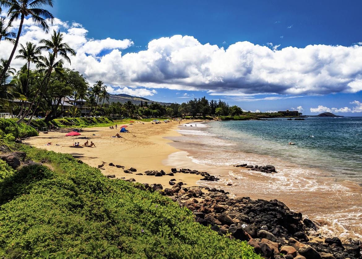 Beachgoers, blue sky, blue ocean surf, and greenery on Kamaole Beach II in Maui, Hawaii
