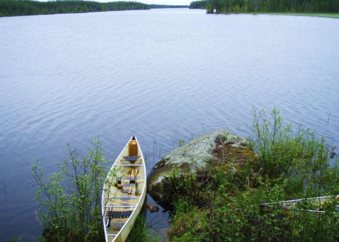 An empty canoe tied up by the side next to a rock and grassy area.