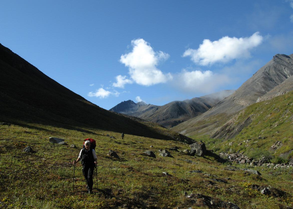 Ramble the Ambler, Gates of the Arctic National Park, Alaska