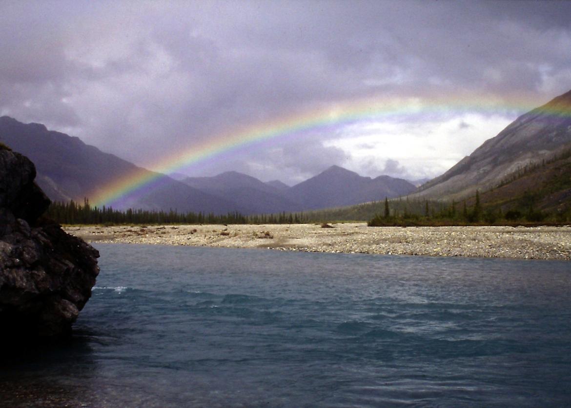 Ramble the Ambler, Gates of the Arctic National Park, Alaska