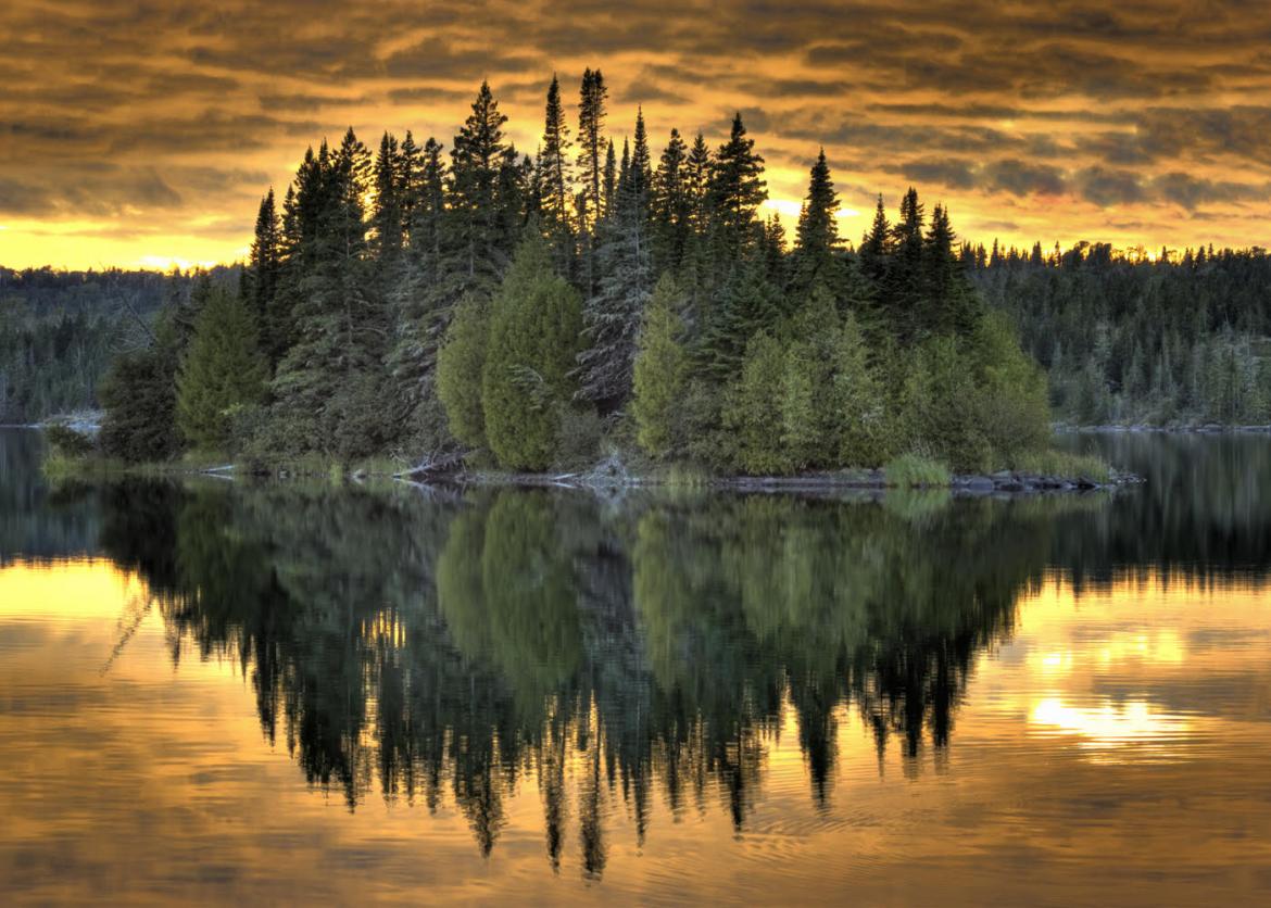 Trees reflected in the surface of the water under an orange and cloudy sky.
