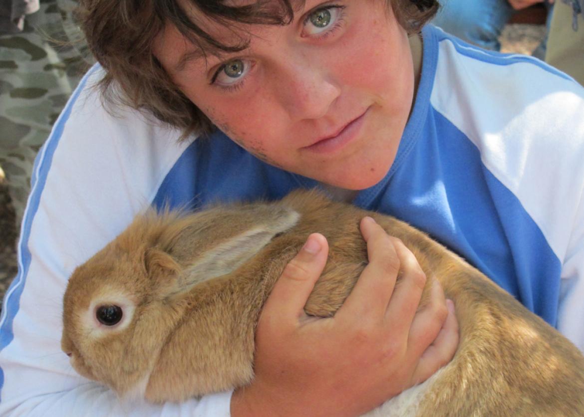 A child holding a large, light-orange hare.