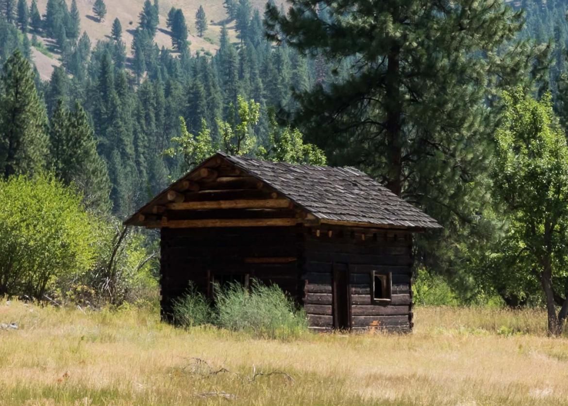 A loan cabin at the edge of a field in front of a forest.