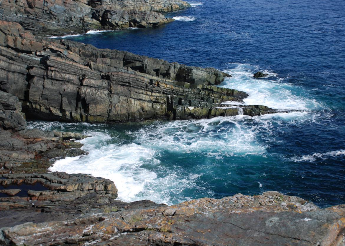 Puffins, Whales, and Coastal Trails: Hiking Newfoundland's East Coast Trail, Canada