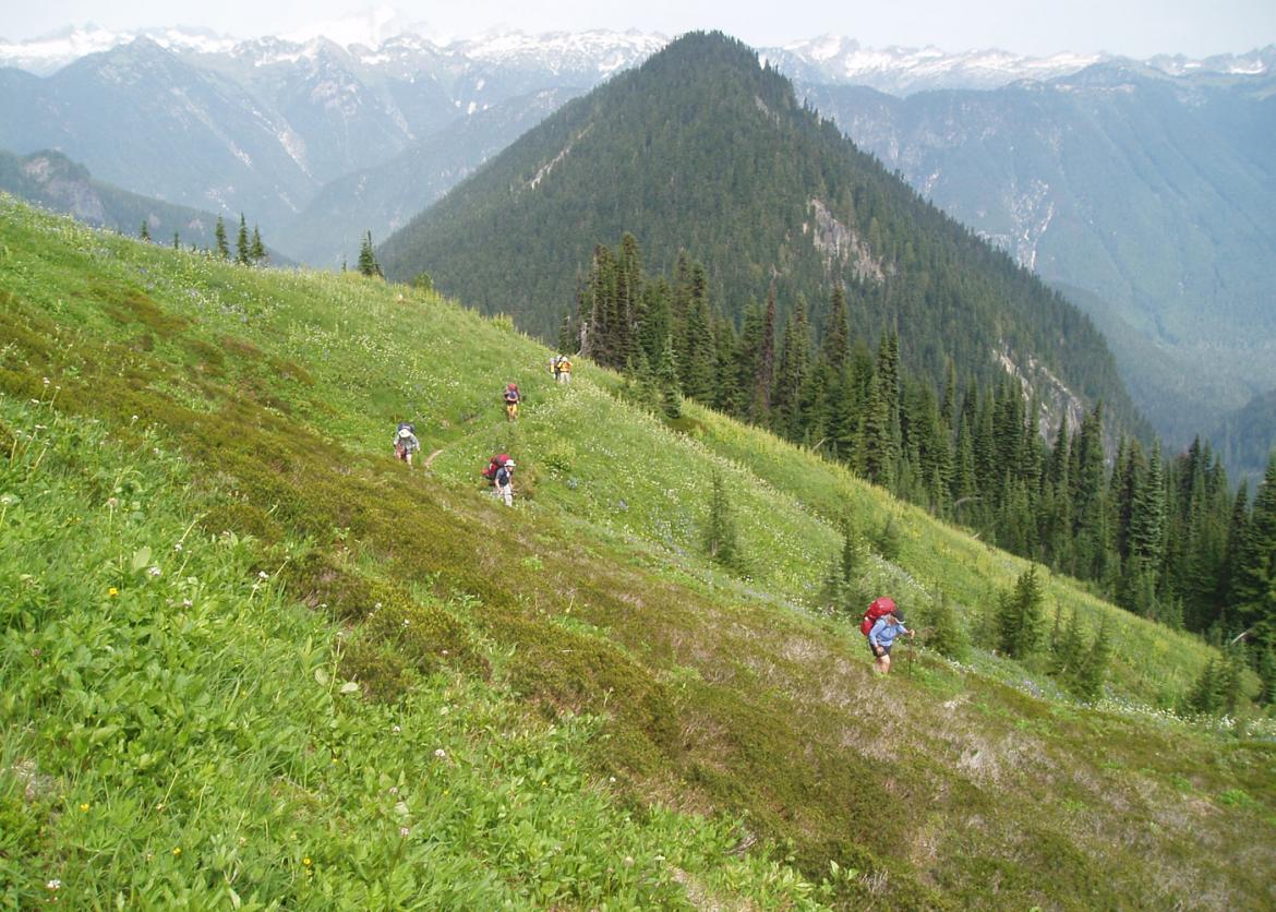 Hikers going down the trail across the green field