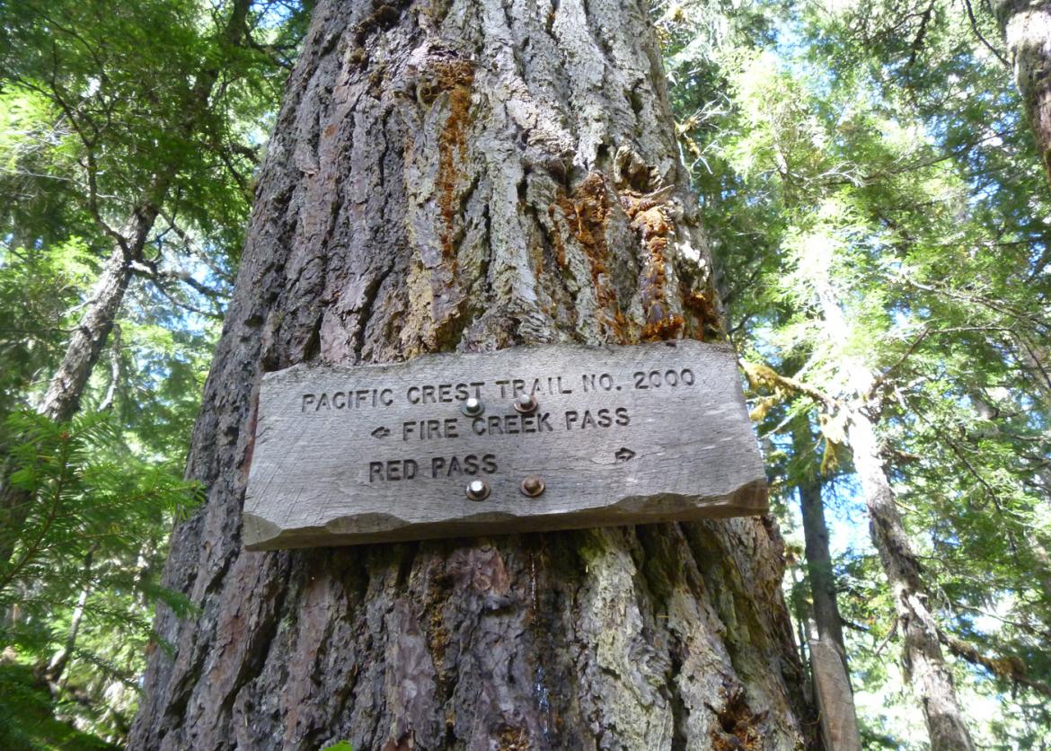 A wooden trail sign that says "Pacific Crest Trail"