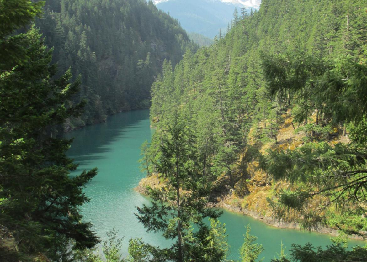 A green stream surrounded by mountains that are covered in green trees.