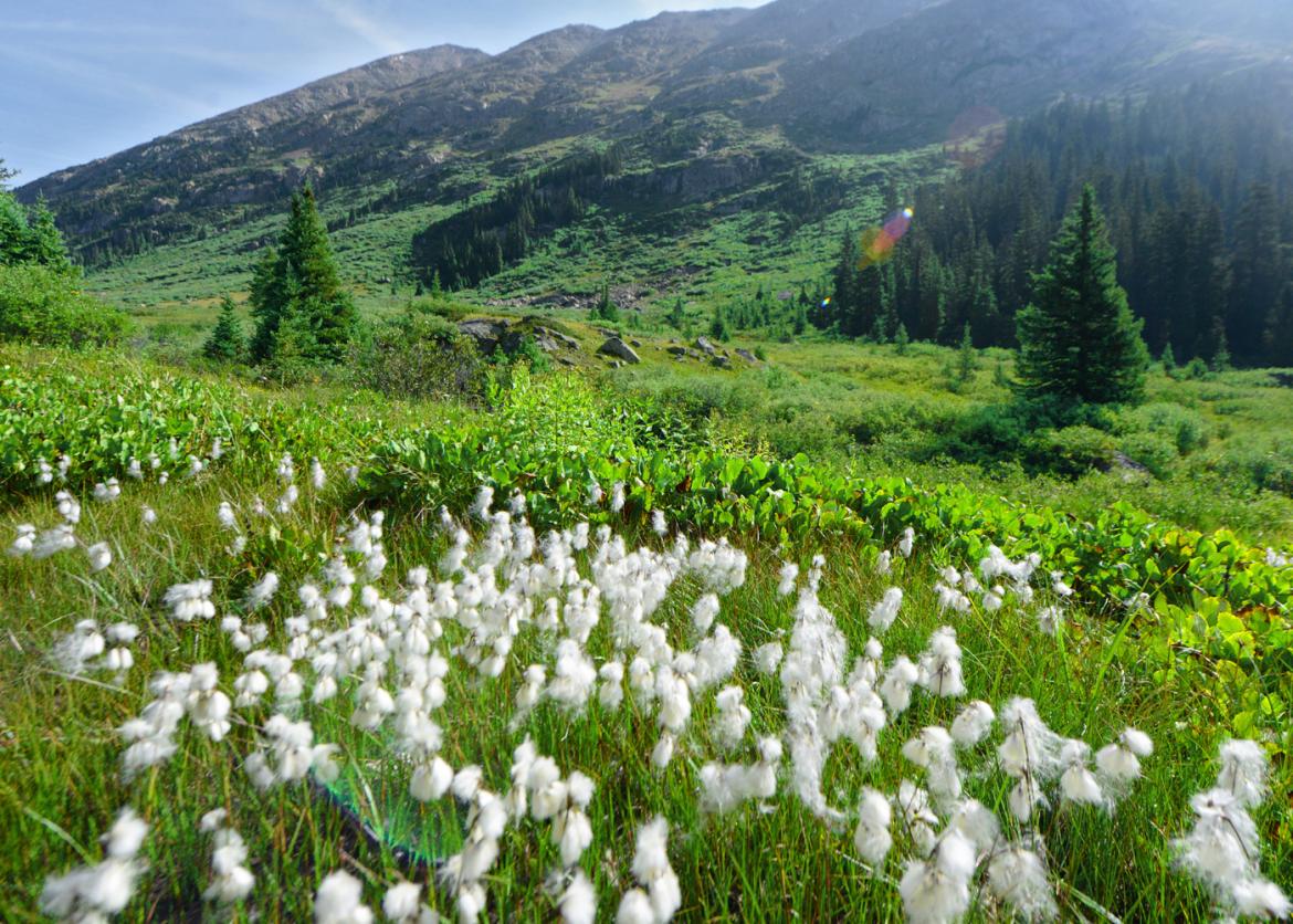 Hiking Crested Butte, Colorado