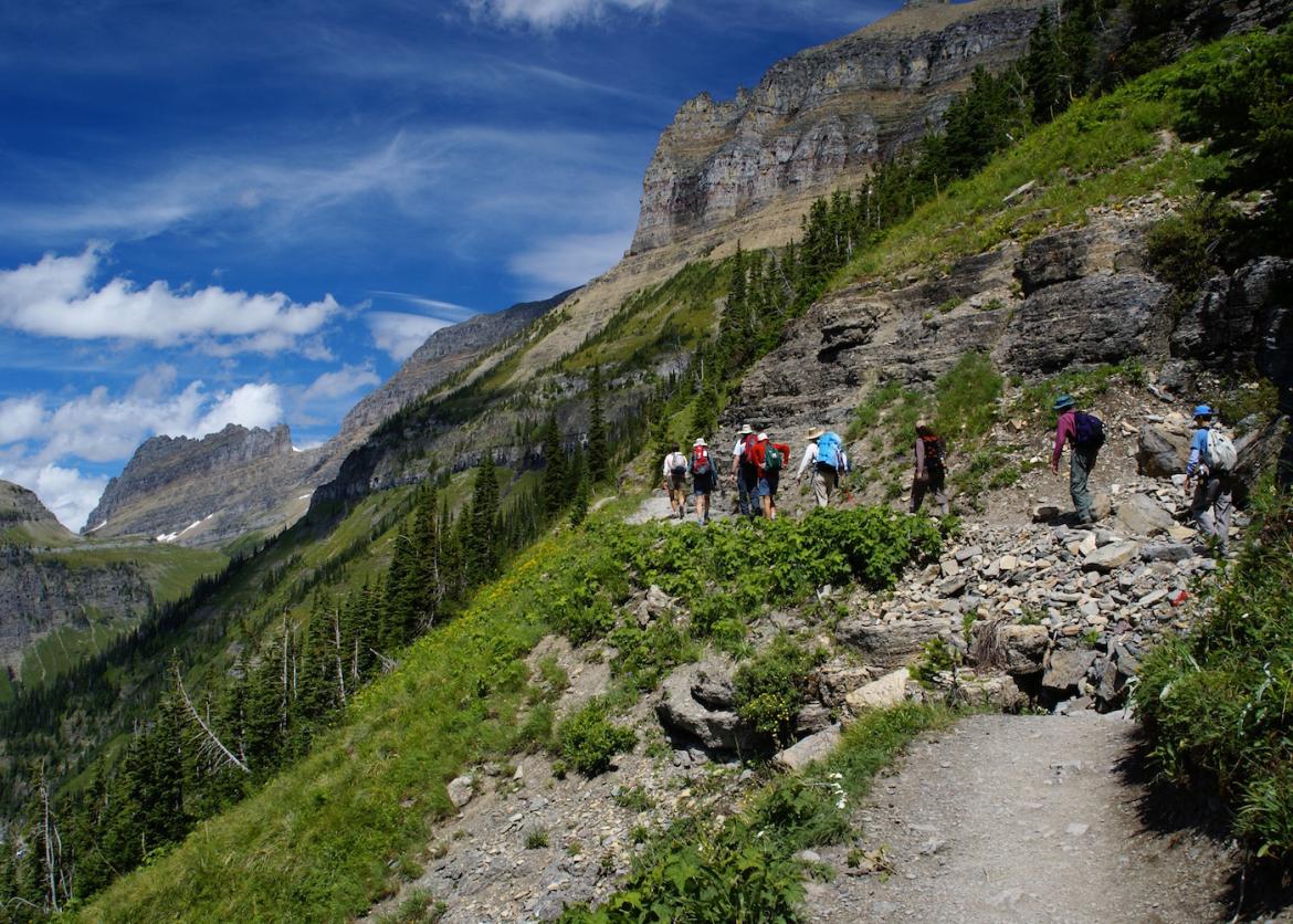 Hikers on a trail cutting through a verdant green mountainside.
