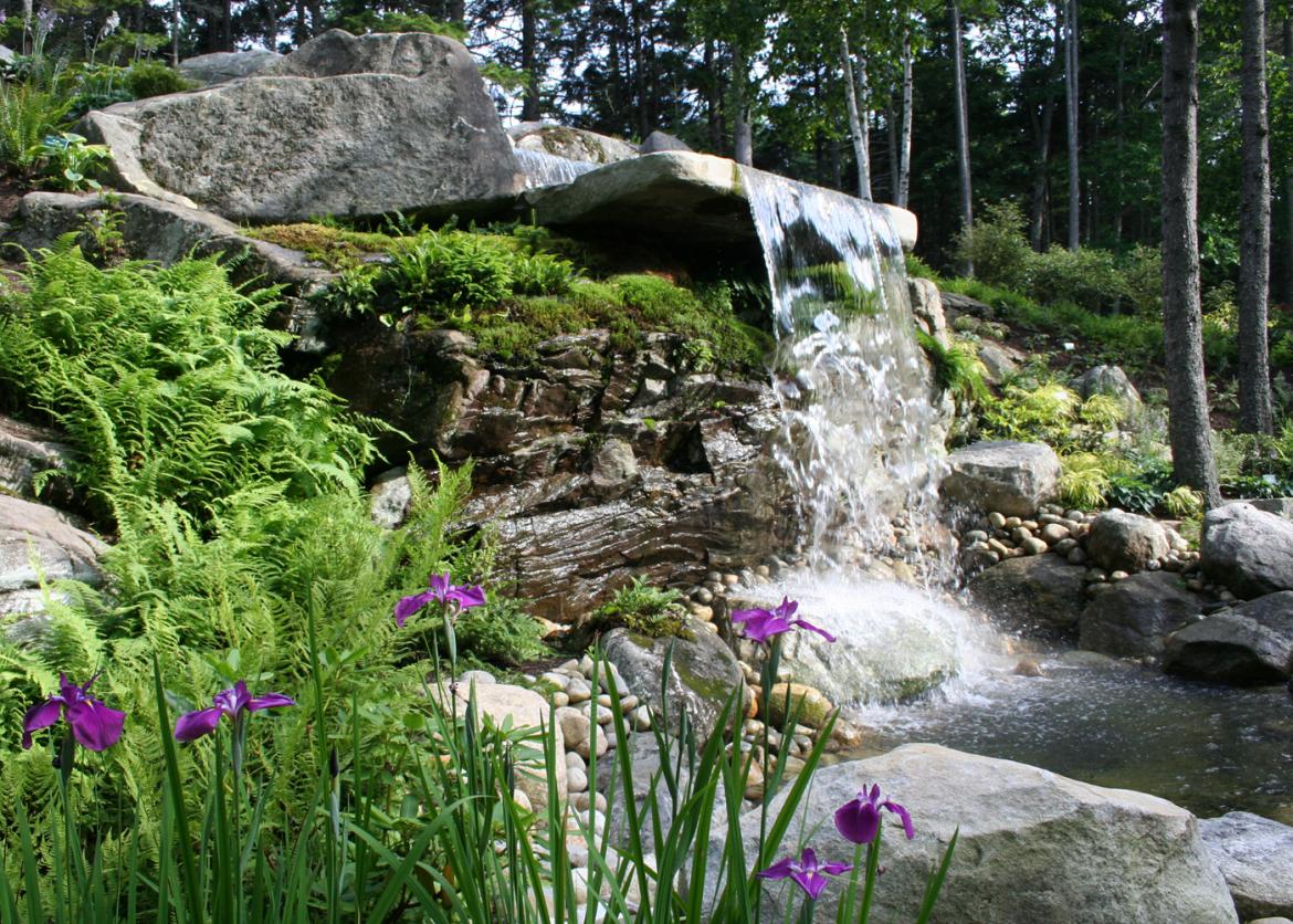A small waterfall surrounded with bright green plants and big rocks.