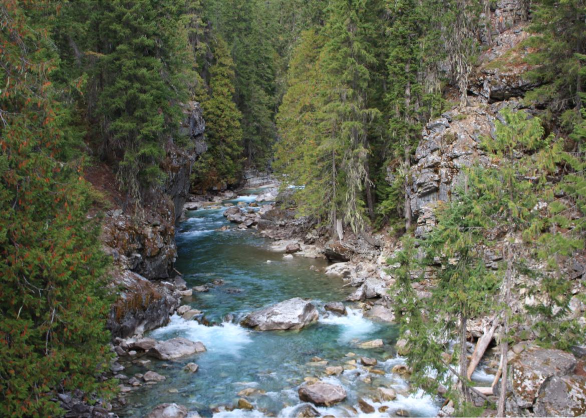 A river of clear water runs between trees and rocky outcroppings.