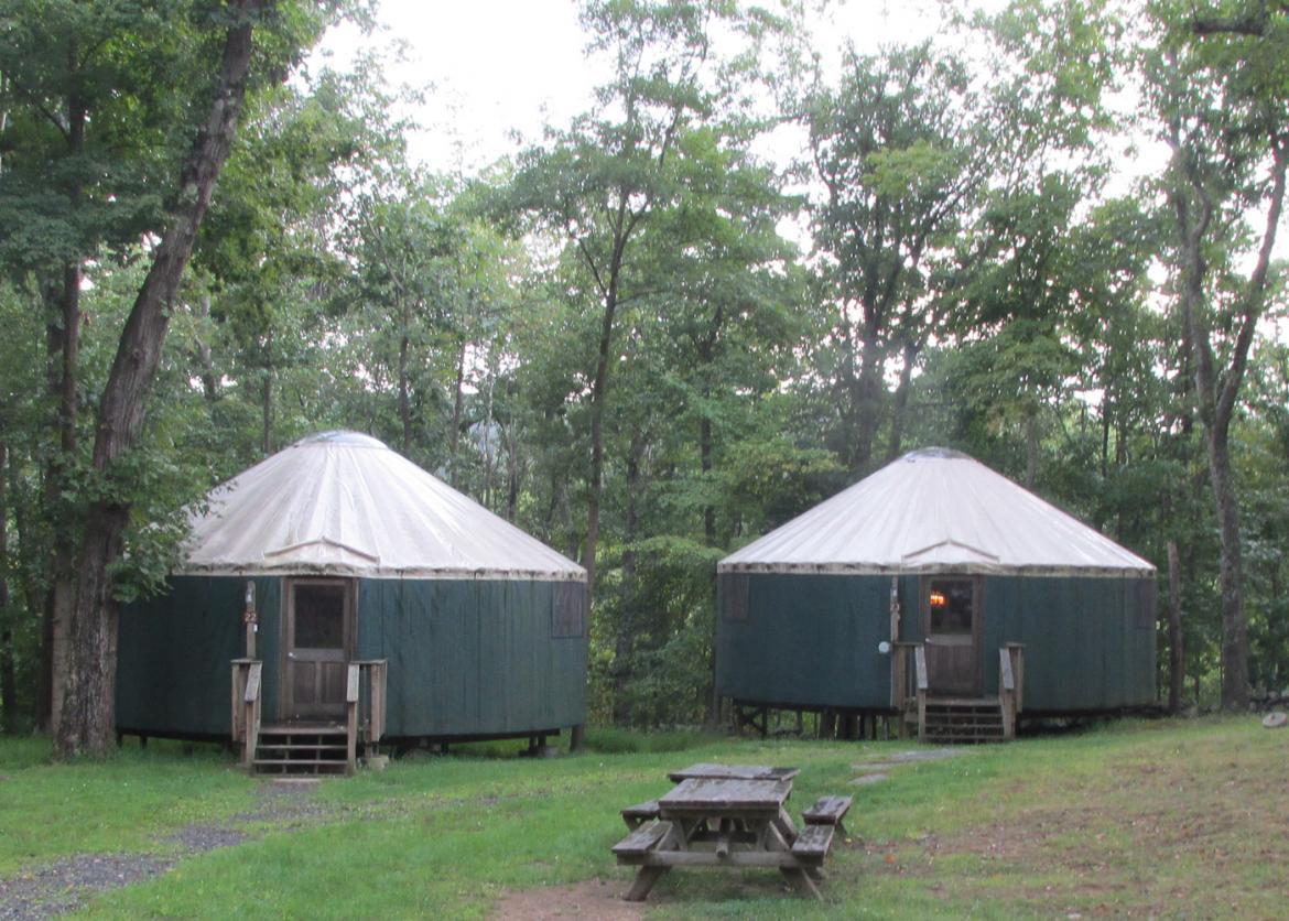 Two large green teepees/tents with a white rooftop surrounded by trees and two tables and benches in front.