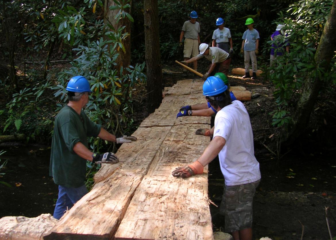 A group of men in blue helmets, checking the condition of the log that was cut