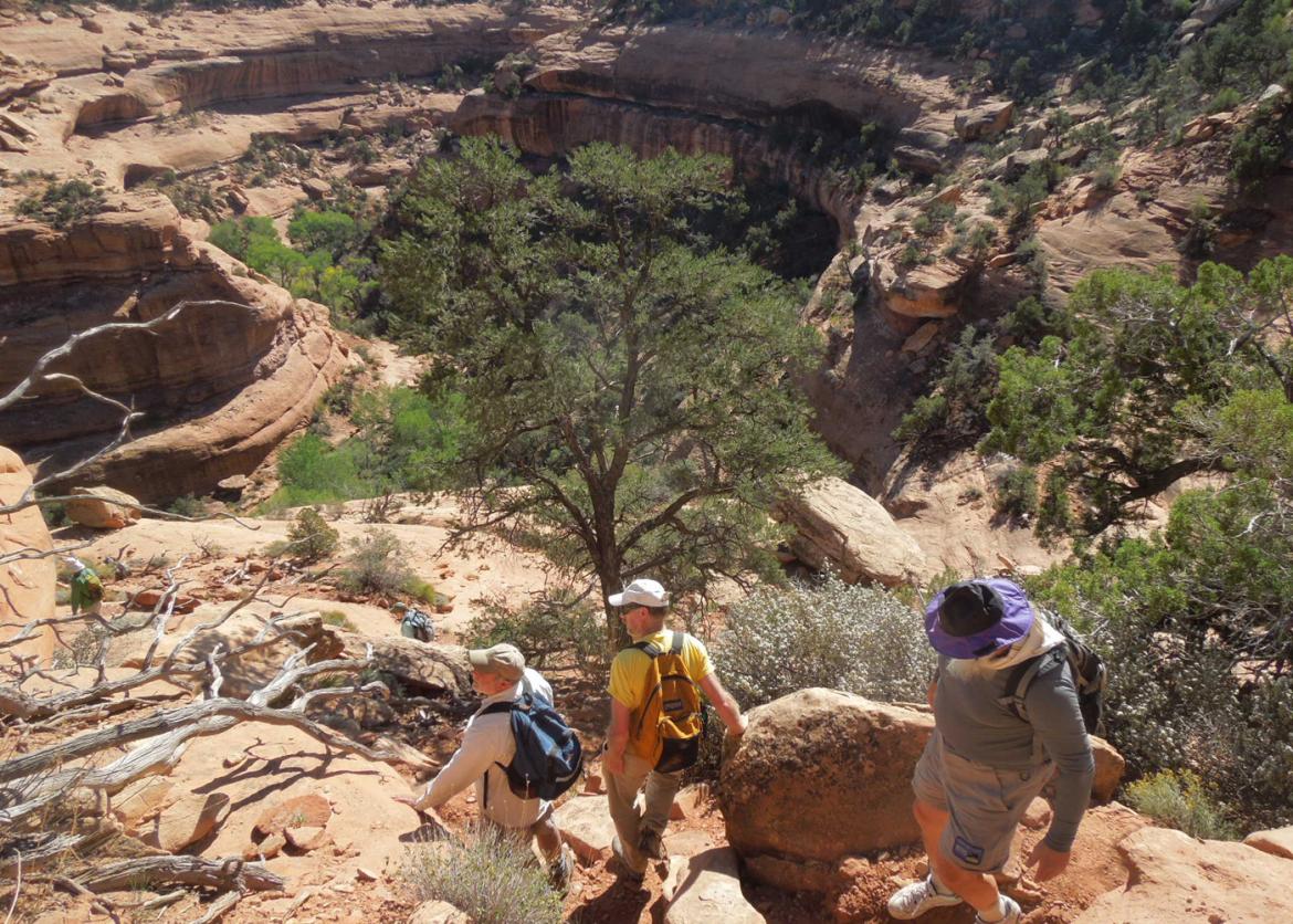 People hiking down the trail with a view of the canyon downwards