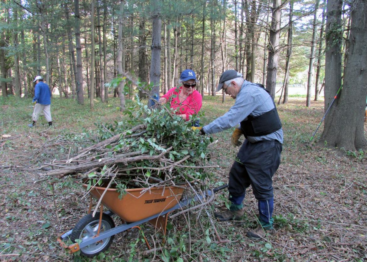 Two participants fill a wheelbarrow to overflowing with branches.