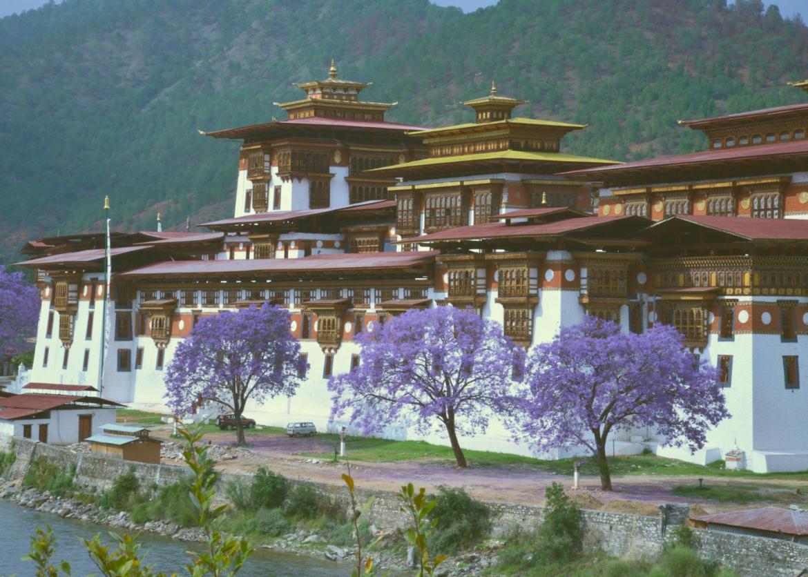 Land of the Thunder Dragon: Bhutan