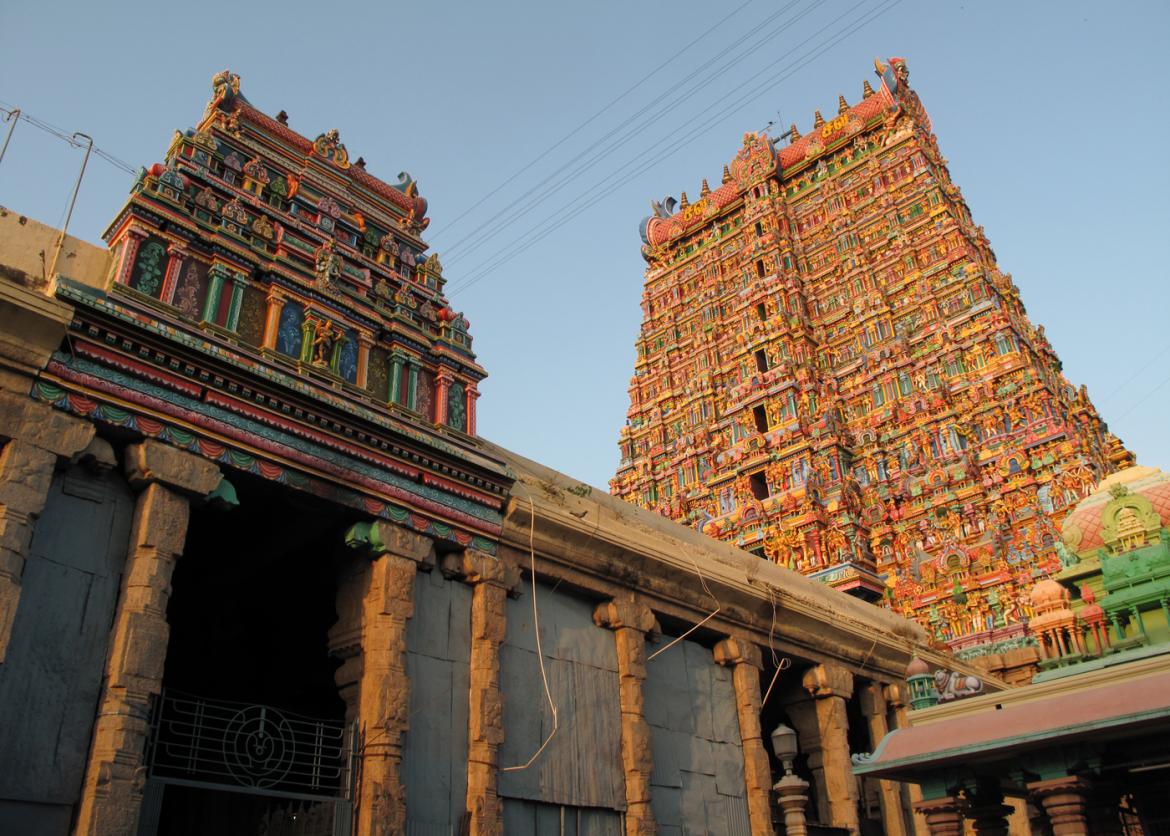 Wildlife and Timelessness: Mythical Travels in South India