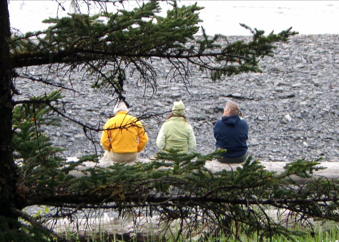 Three companions sit in a row on a fallen tree on a pebbled shore.