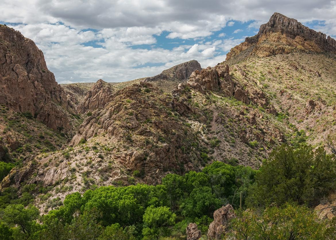 Galiuro Mountains and Redfield Canyon Wilderness: The Place Time Forgot, Arizona