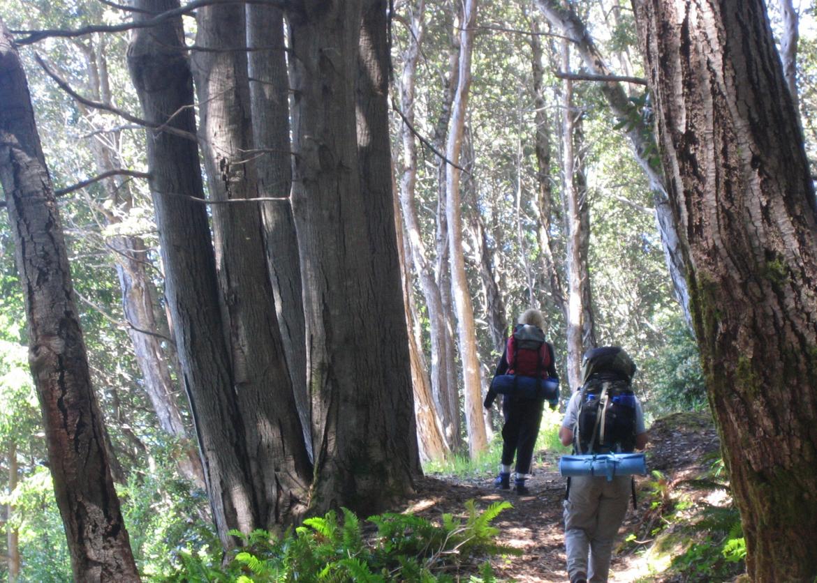 Backpacking California's Lost Coast