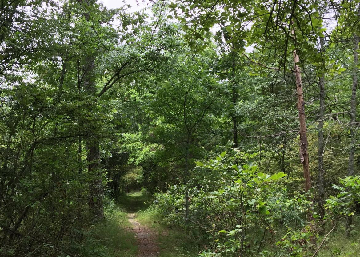 Spring Day Hikes in the Intriguing Ouachita Mountains, Arkansas and Oklahoma