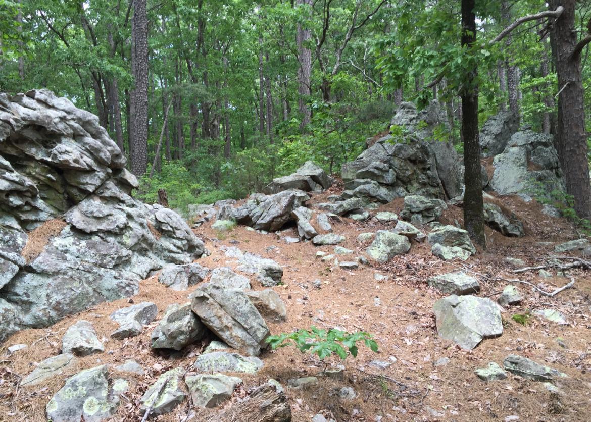 Spring Day Hikes in the Intriguing Ouachita Mountains, Arkansas and Oklahoma