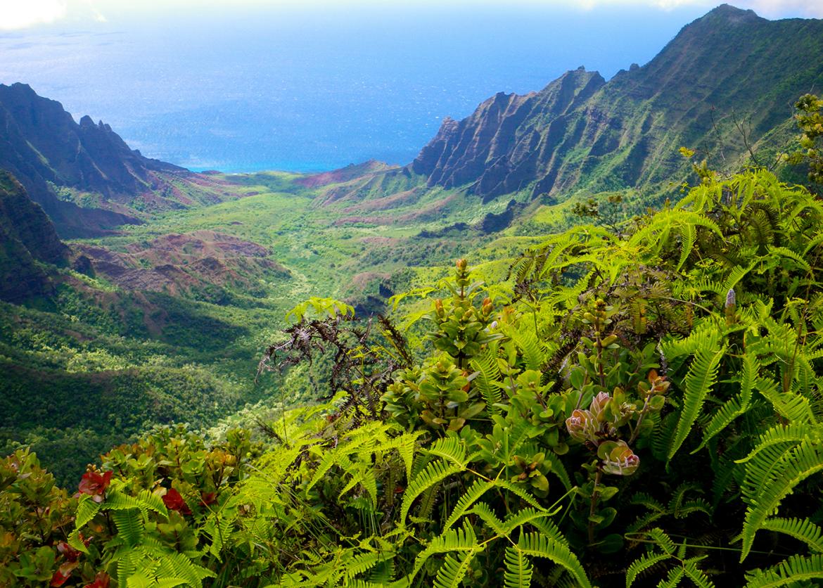 Gems of Kauai: Rainforests, Canyons, and the Deep Blue Sea, Hawaii