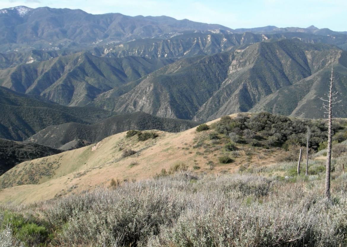 Los Padres National Forest, California