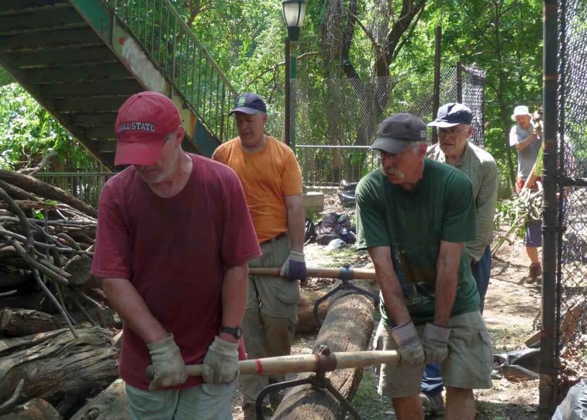 Four men carry a tree log together using yokes attached to calipers.