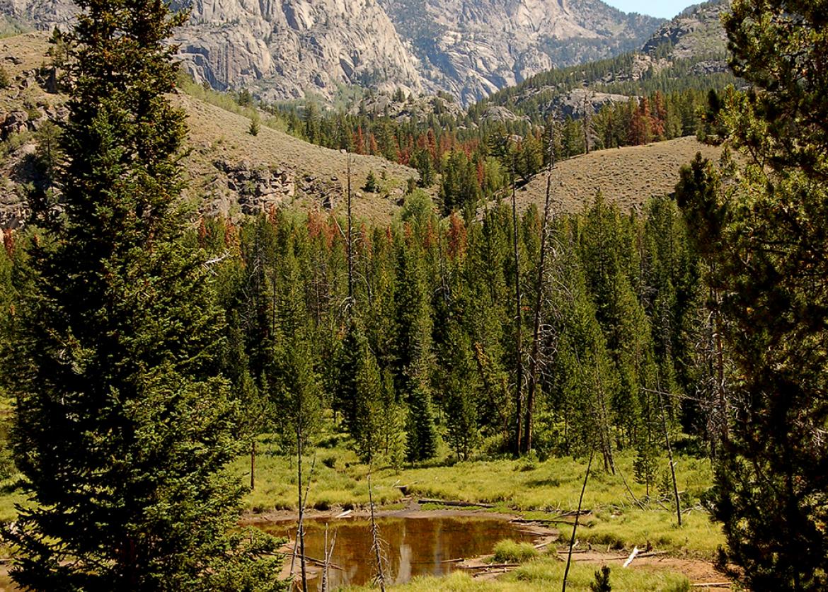 Top of the Rockies: Backpacking the Exhilarating Wind River Range, Wyoming