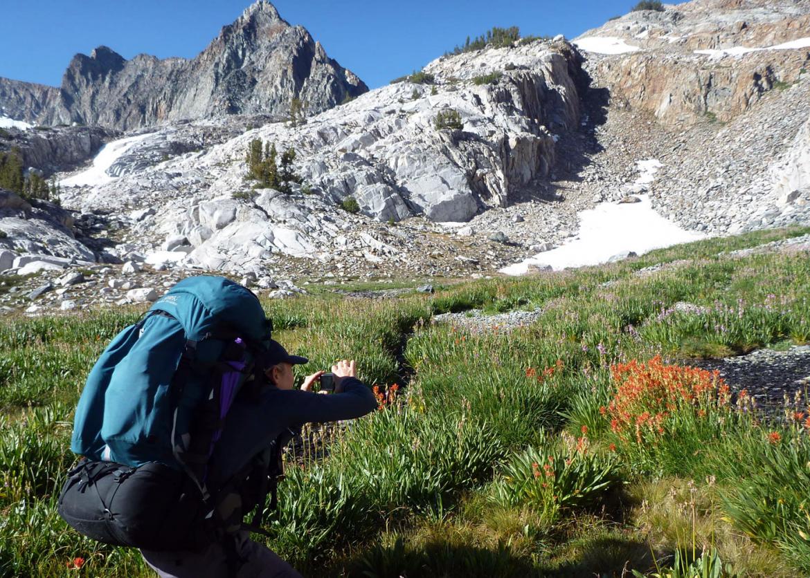 A man carrying his large hiking backpack, squatting to take a photo of the orange flowers.