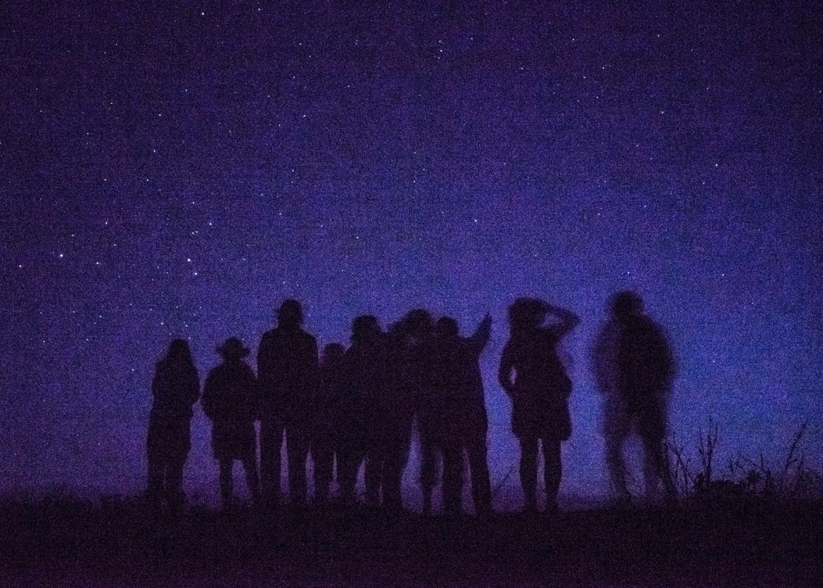 A group of people stargazing in the dark.