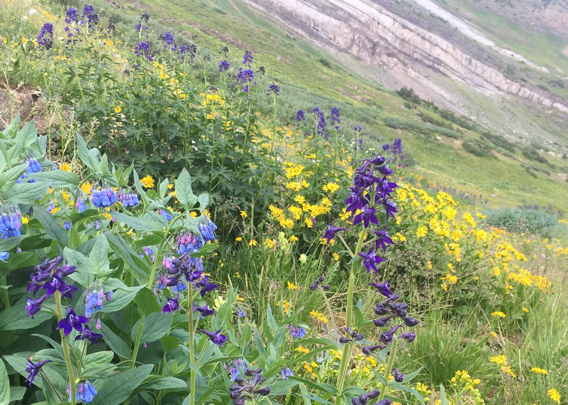 Hiking Crested Butte, Colorado