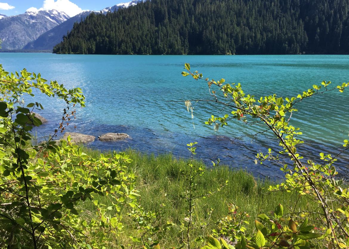 Vancouver to Whistler: A British Columbia Adventure