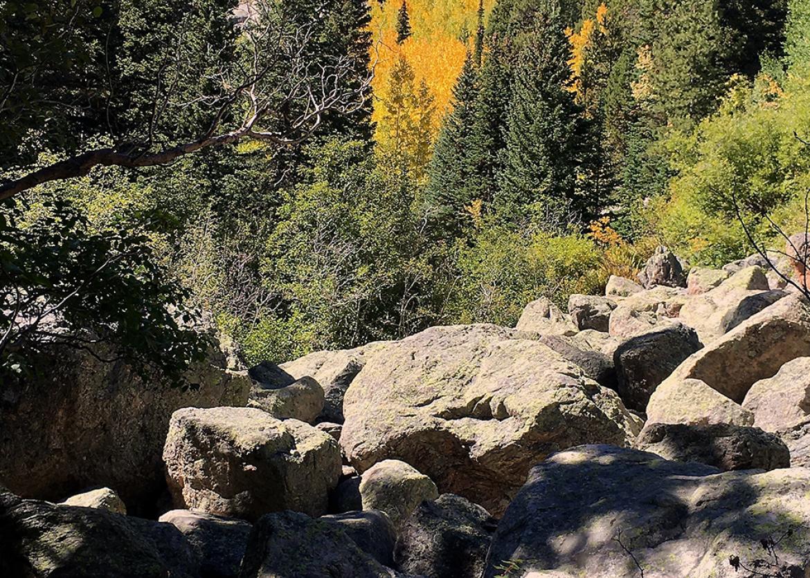 Treks, Trails, and Shutter Clicks in Rocky Mountain National Park, Colorado