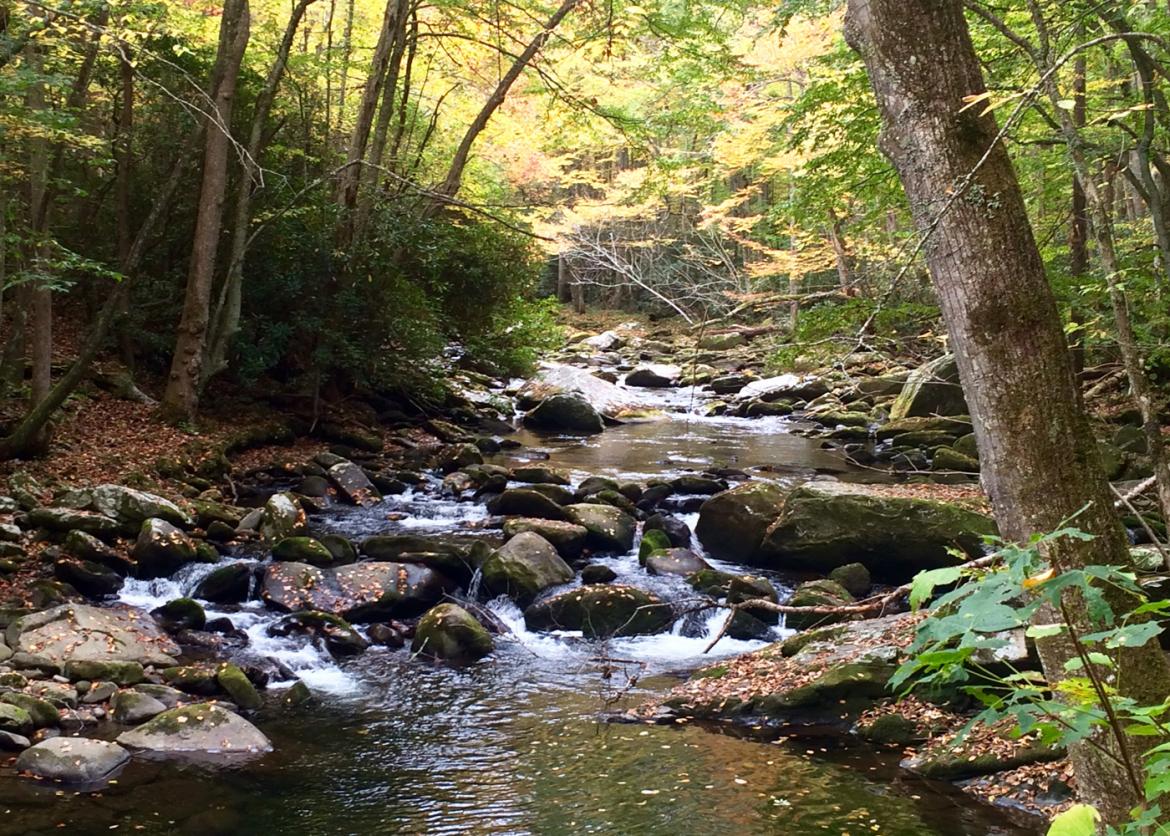 A stream flowing down the rocks with trees in the background