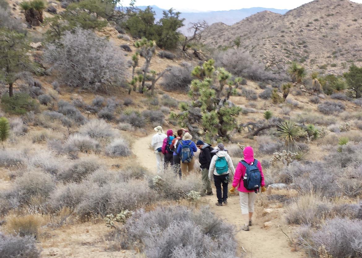 A group of hikers going down the trail in a straight line.