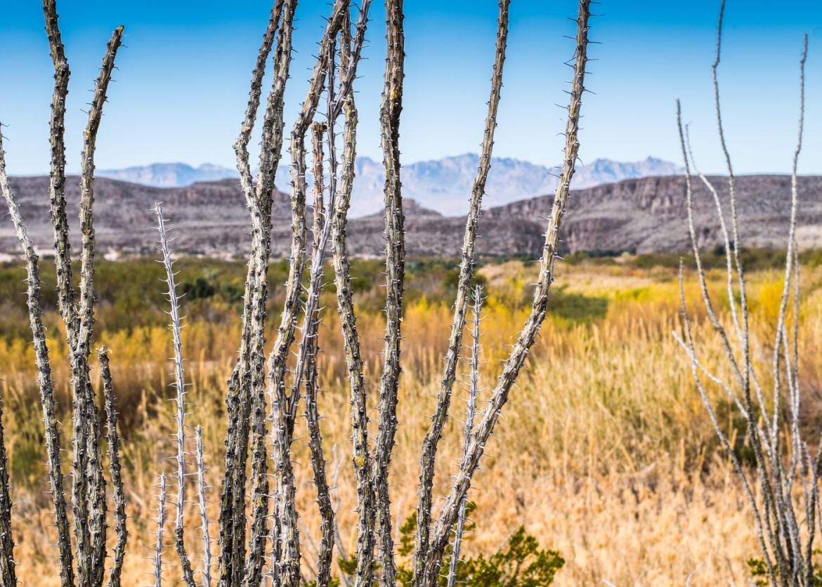 Classic Hikes in Big Bend National Park, Texas