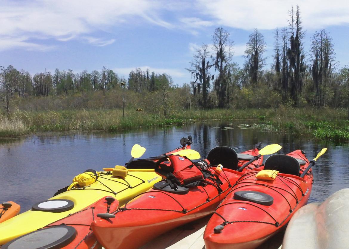 Kayaking Florida's Magical Rivers and Springs