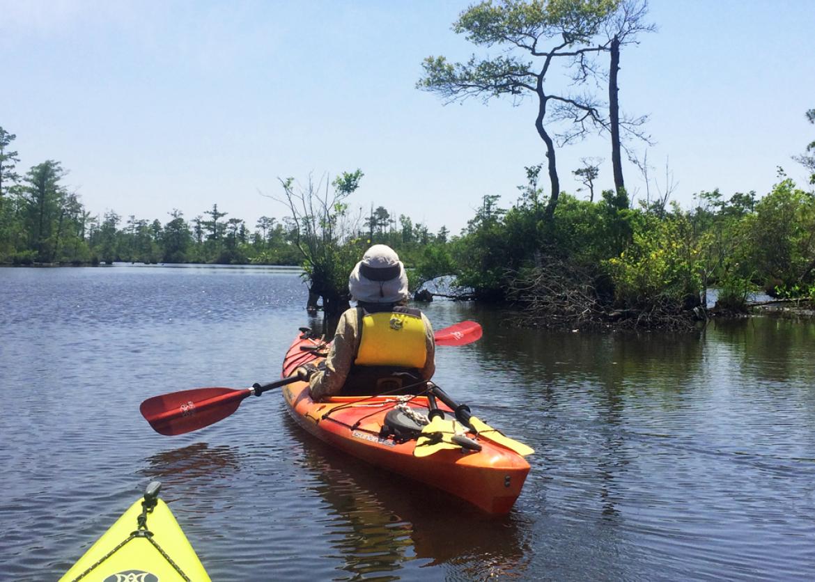 Kayaking Florida's Nature Coast: Manatees and More