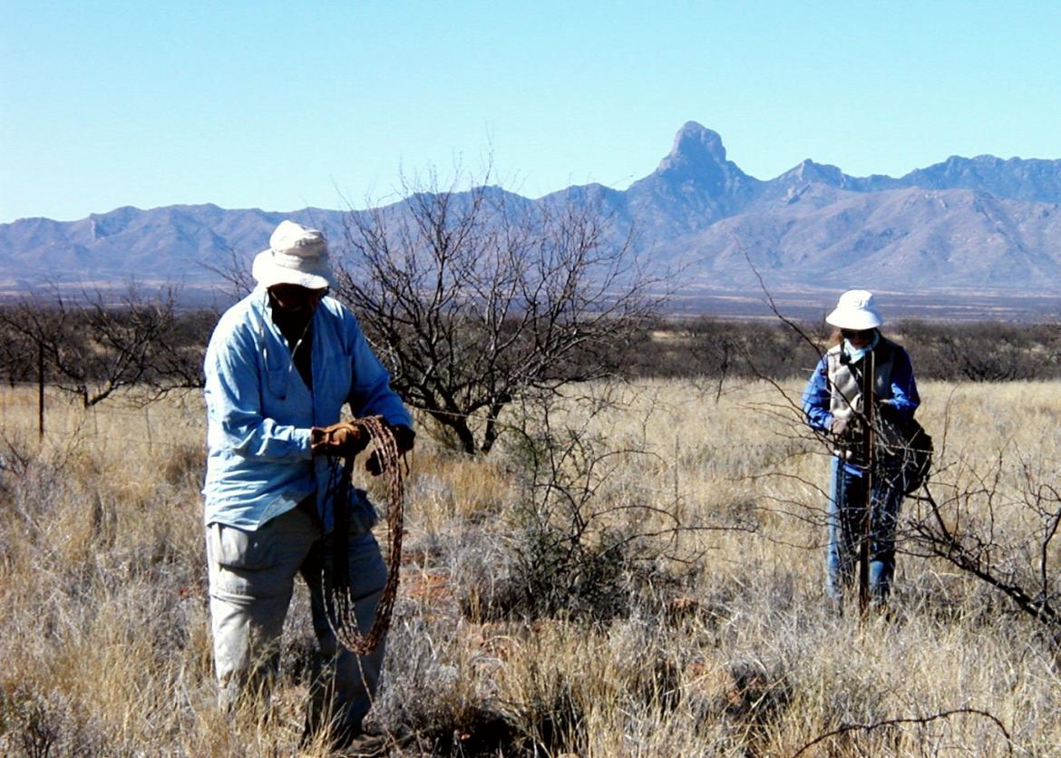 Two participants working on a fence in a dry grassy meadow