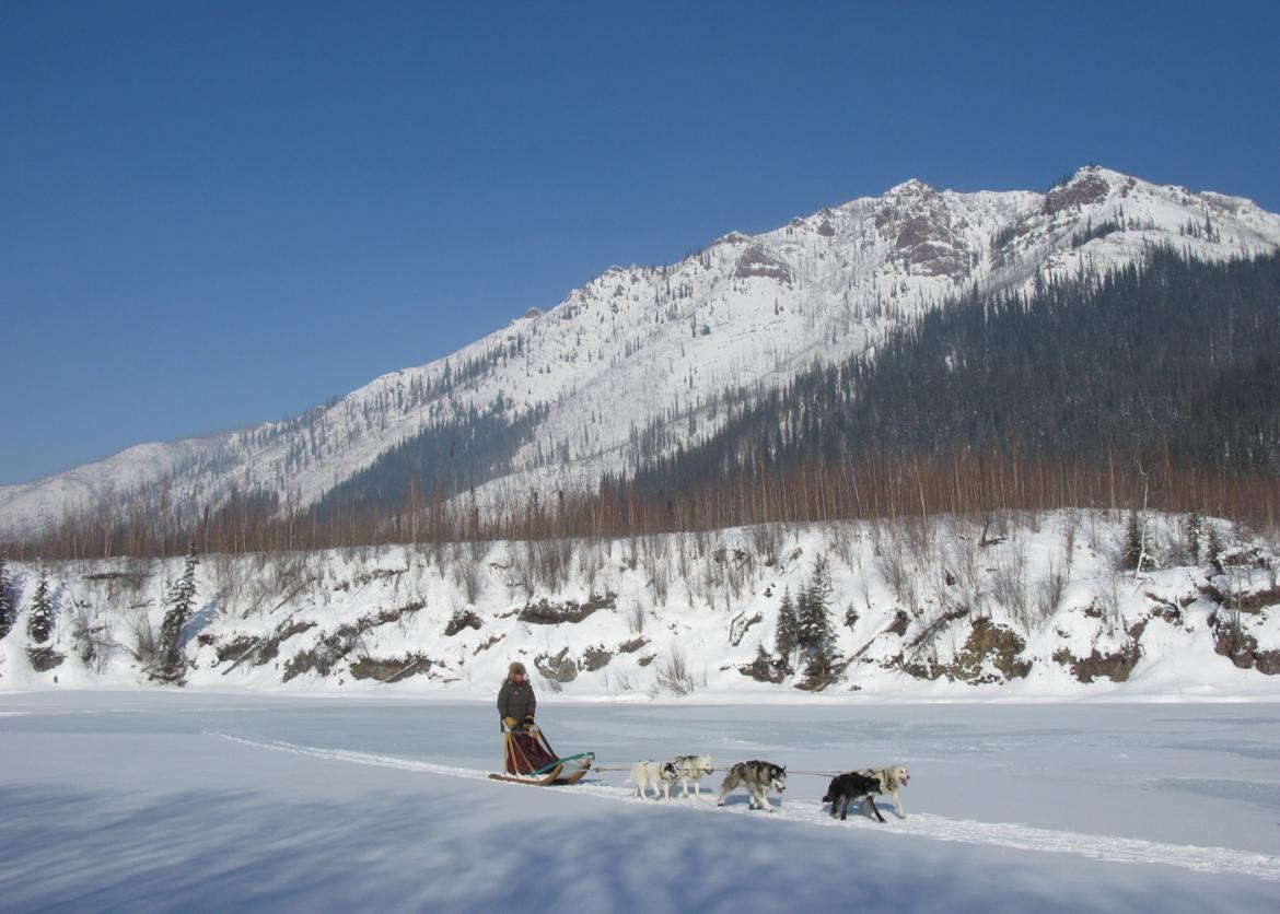 Journey Through Untamed Wilderness: Alaska Dogsled