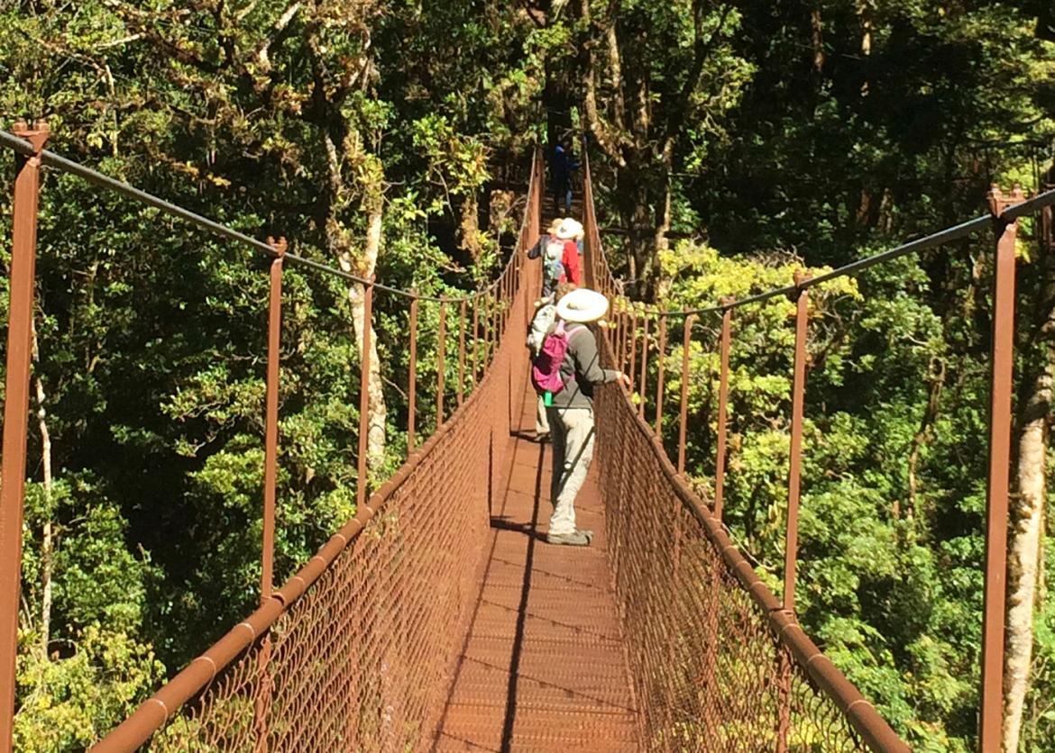 Trip goers walk over a narrow suspension bridge.