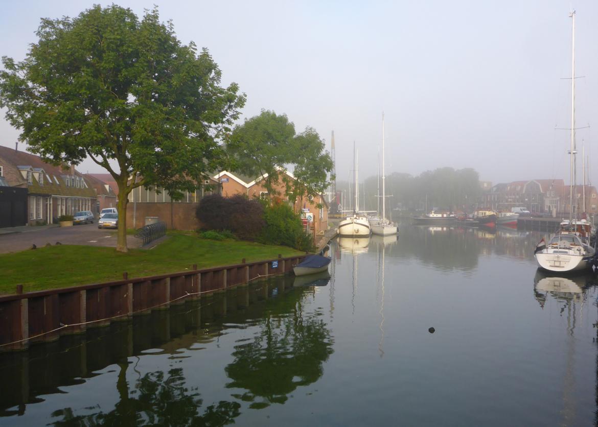 Docked boats in a canal on a misty day.  A tree grows out of the grass nearby.