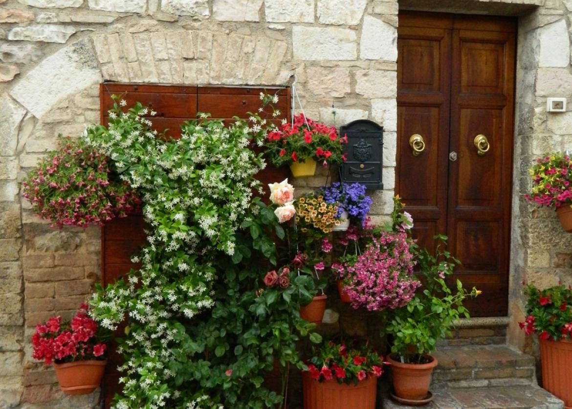 Potted flowers in front of a building's stone wall.