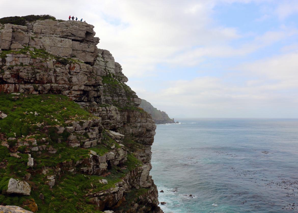 Sensational South Africa: Wildlife, Whales, and Wine